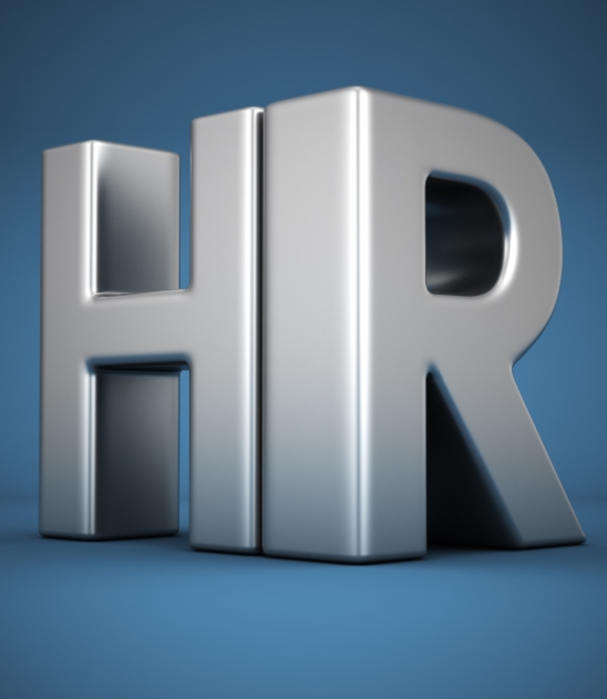 HR consultant reviewing an employee handbook with a small business owner